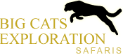Big Cats Exploration Safaris